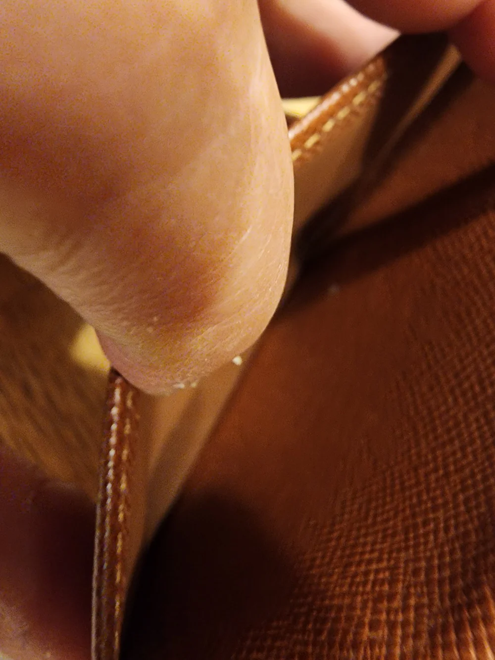Louis Vuitton Monogram Organizer in Brown and Gold-tone PM SIZE